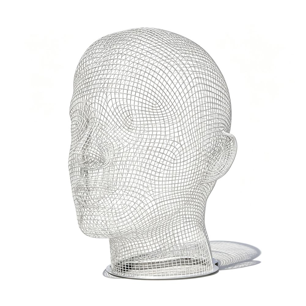 Giant Metal Head Wire Sculpture FIG-009